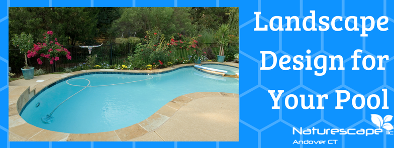 landscape design for your pool