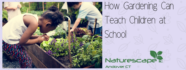 How Gardening can teach children at school