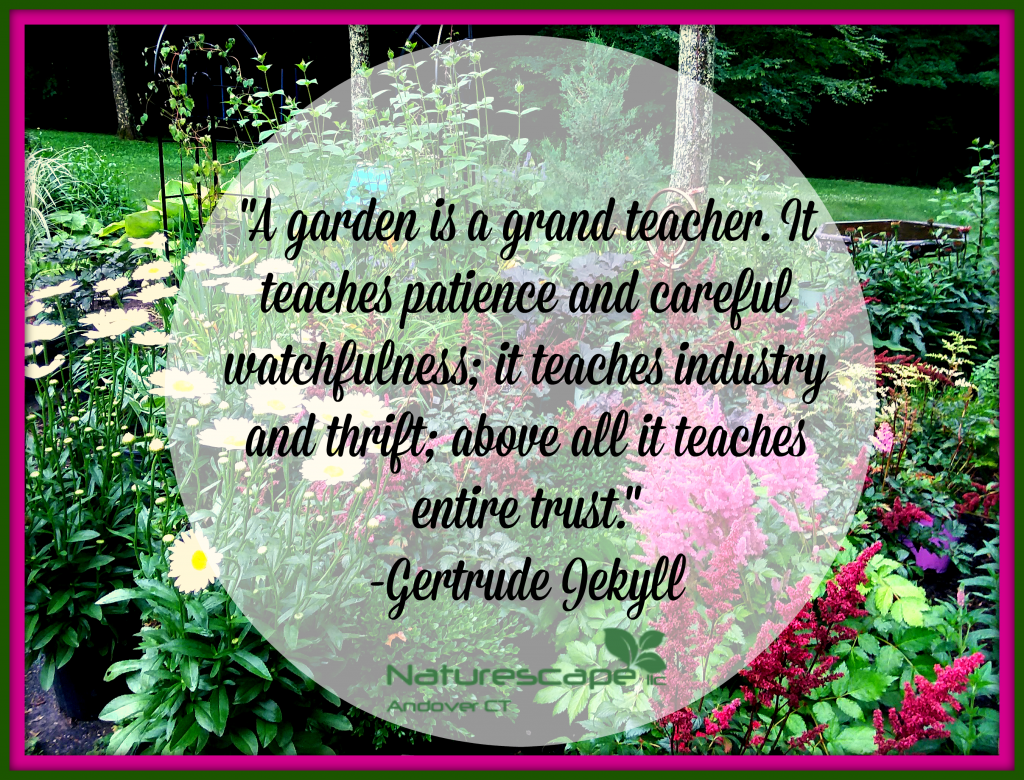 A garden is a grand teacher - Naturescape LLC