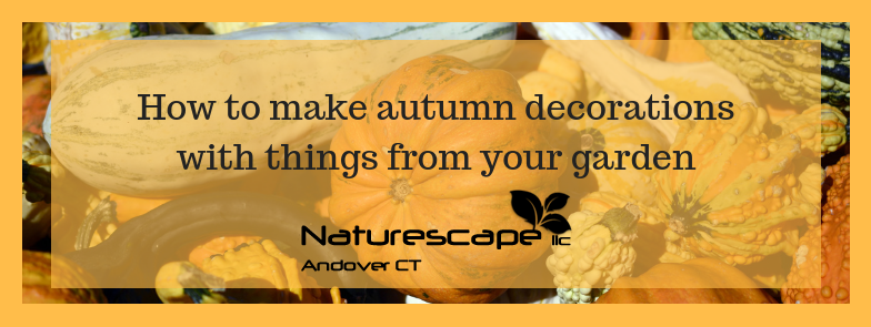 How to make autumn decorations with things from your garden