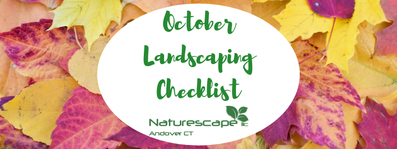 October landscaping checklist