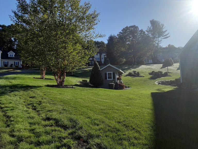 Lawn Care &amp; Maintenance Naturescape LLC
